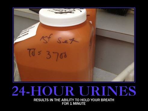 24-Hr-urine